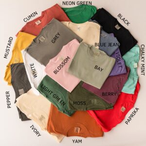 Comfort Colors 1717 Unisex Heavyweight T-Shirt